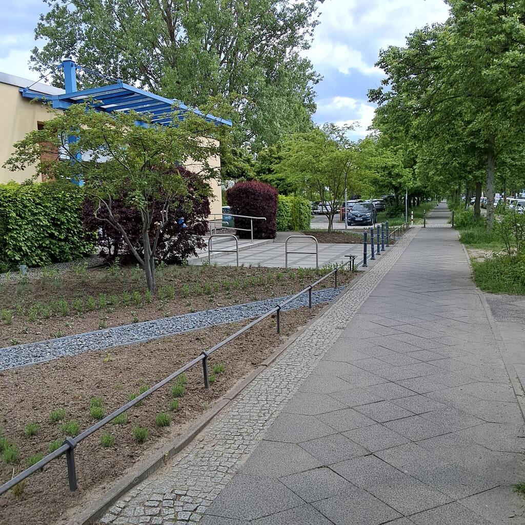 Garten- und Eingangsbereich